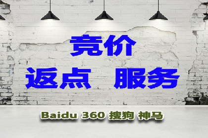 百度推广实战：成功案例解析